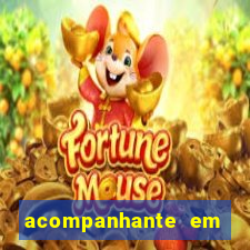 acompanhante em porto velho